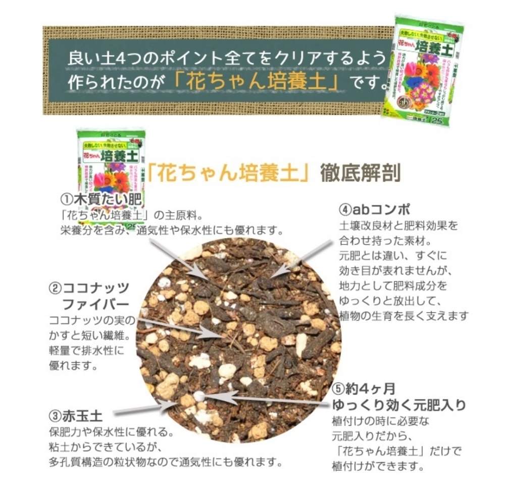 小さな庭の画像 by ニワバラベラバラさん | 小さな庭とばら バラ 薔薇と培養土を考える倶楽部と挿し木と植え替えとバラ 鉢植えと花ちゃん培養土と鉢ロザリアンと花のある暮らしとばら 薔薇 バラとバラ・ミニバラ