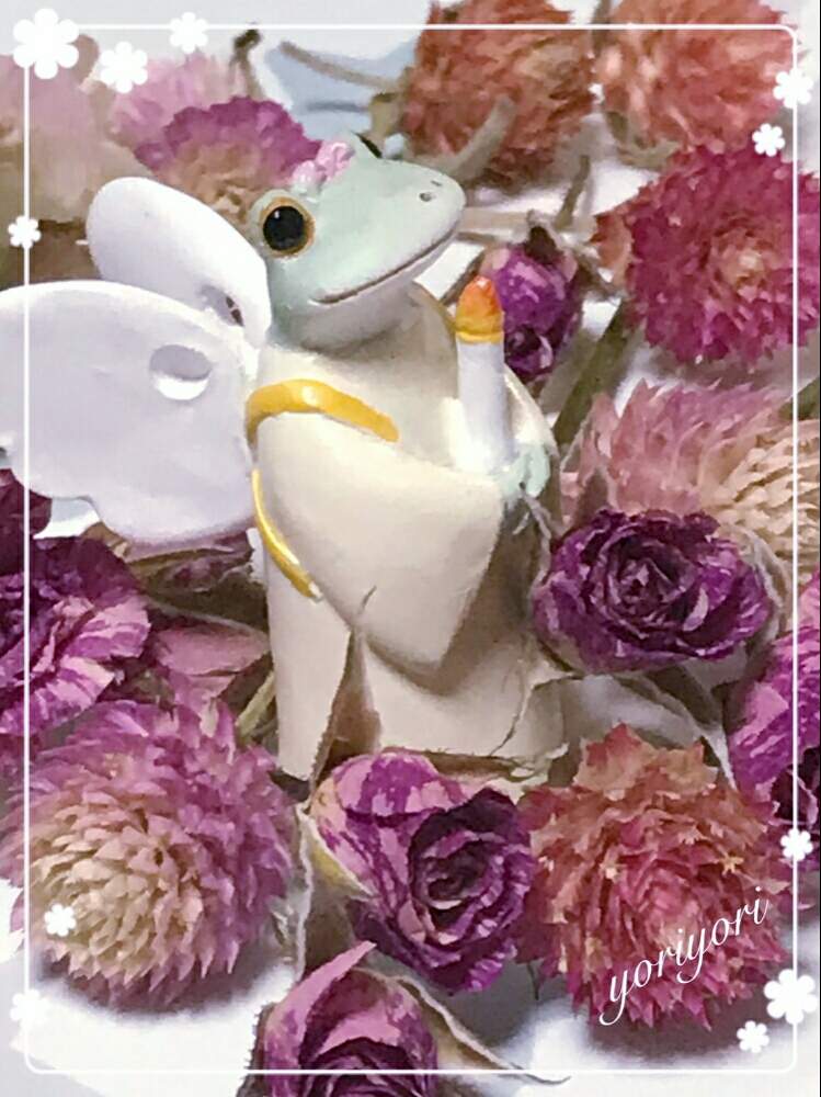 部屋の画像 by yoriyoriさん | 部屋とドライフラワーいろいろとお疲れ様です♡と今日もありがとうと今週もヨロシク♥️と感謝の気持ち♬とHTC No.51とひやみかち首里城!とエンジェル祭りと花のある暮らしと花の16年組♡とチーム福岡とこんばんは☆とおやすみなさい⭐と幸せ気分♡♡とChopinさん ありがと♡