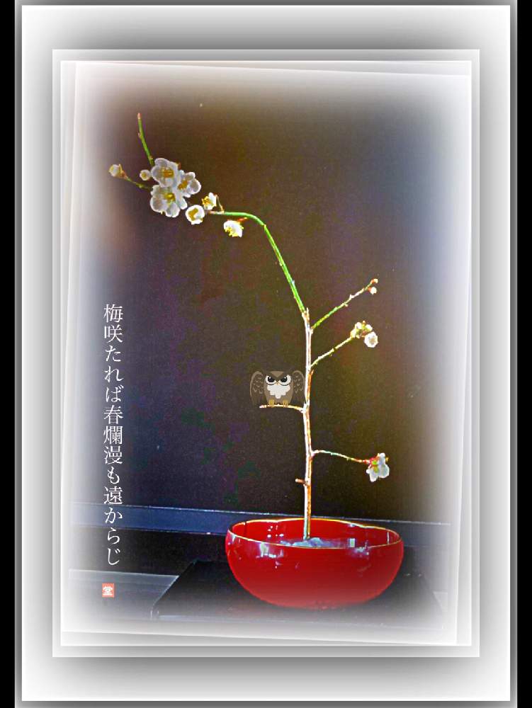 部屋の画像 by Kazyanさん | 部屋と白梅 和堂と白梅 生花と花のある暮らしと梅シリーズと白梅の花 生花と梅 シリーズと白梅の花と白梅シリーズ 和堂と生花シリーズ 和堂と梅シリーズ 和堂と詩歌と詠歌シリーズ 和堂と花器の色々 和堂とフクロウとフクロウ:梟シリーズ 和堂と福来郞シリーズ 和堂と 梅の花