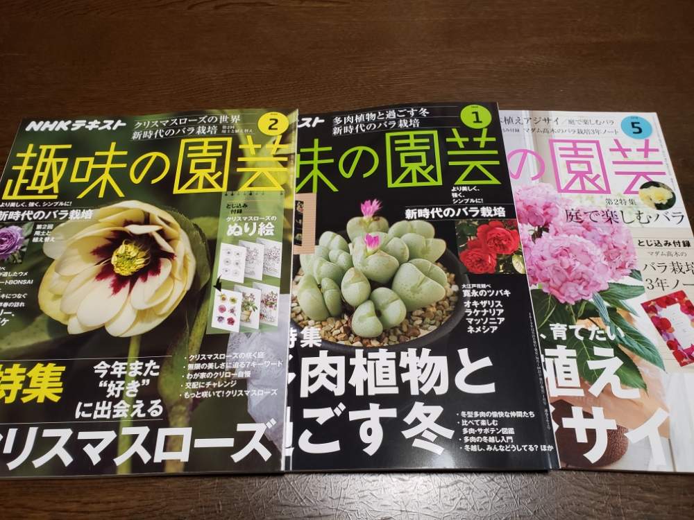 部屋の画像 by 雪花子さん | 部屋と多肉植物と楽しんでますとお花大好きと趣味の園芸♡とGS依存症と花に癒されると大好きな花と花のある暮らし