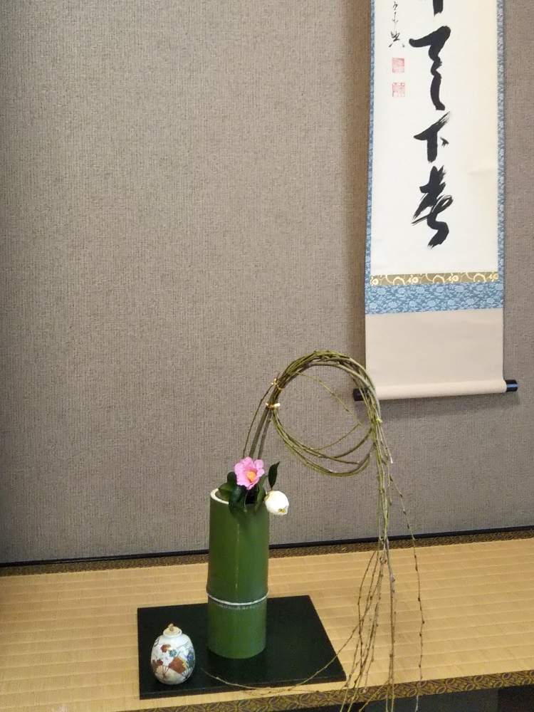 の画像 by うさぎYYさん | 茶道と初釜とつばきの花と結び柳