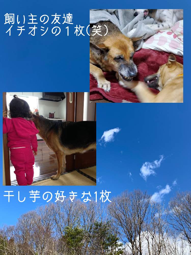 お出かけ先の画像 by 干し芋母ちゃんさん | お出かけ先とまたおいでとpicカラー&トーン無加工