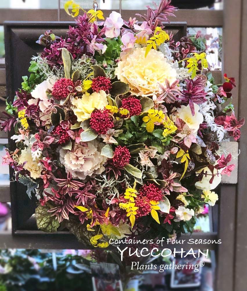 バルコニー/ベランダの画像 by 寄せ植え屋ゆっこはんさん | バルコニー/ベランダとハンギングバスケットとウォールバスケットと新規生徒募集とギャザリング教室とプランツギャザリングと寄せ植えとギャザリング寄せ植えとギャザリングと寄せ植え屋ゆっこはんとギャザリングレッスンと花のある暮らしとあおき式ギャザリングとベラボン