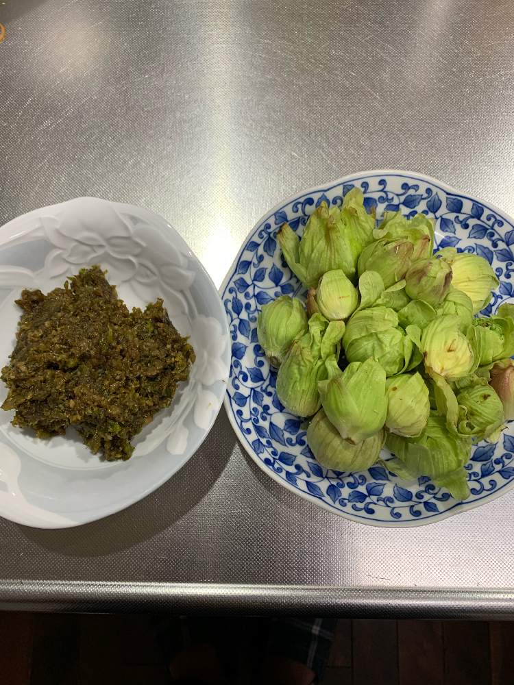 お出かけ先の画像 by 山ぶどうさん | お出かけ先と春の気配と山野草とおいしいと食用と和む