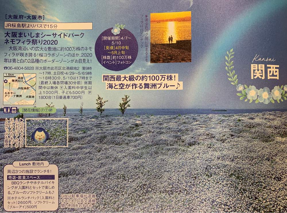 デスクの画像 by 『薔薇の初心者教室』How to grow Organic Roseさん | デスクと ネモフィラとネモフィラ祭りと舞洲ネモフィラ祭りと関西最大級ネモフィラ祭り