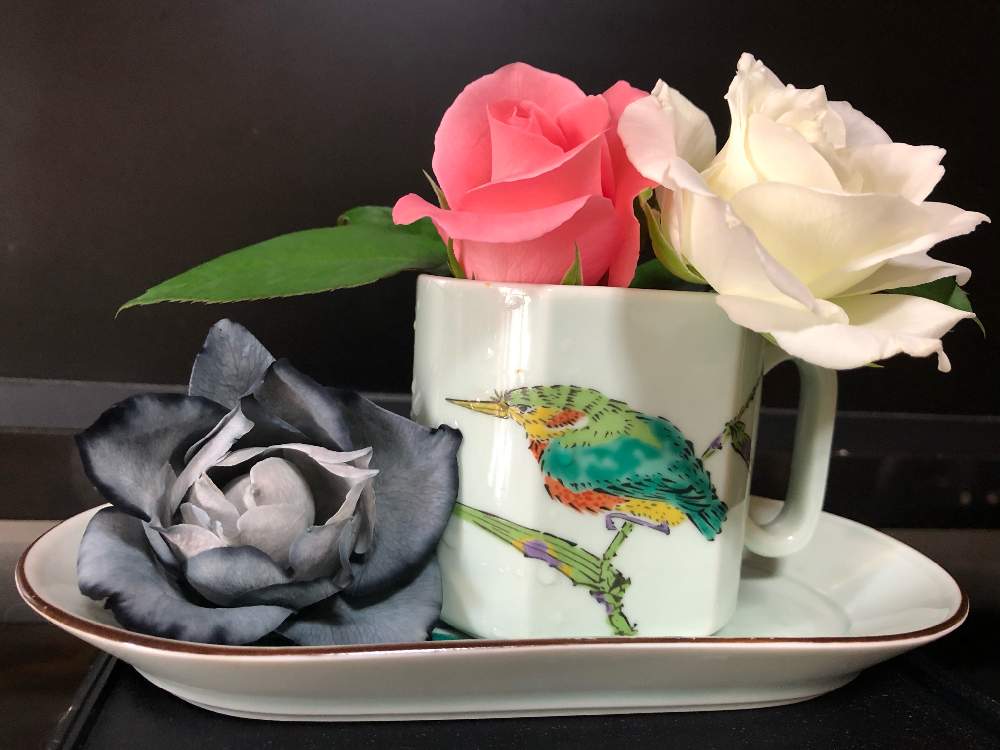 部屋の画像 by Kazyanさん | 部屋と花のある暮らし 和堂と薔薇 和堂と薔薇シリーズ 和堂と黒薔薇 和堂と花のある暮らしと花器の色々 和堂とラブストーリー:薔薇 和堂とばら 薔薇 バラとバラが咲いた♫とバラ:薔薇シリーズ 和堂と詩歌と薔薇の花を楽しむ 和堂と万葉の藪庭の花々 和堂と薔薇の花シリーズ 和堂と薔薇の花