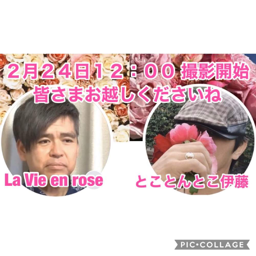 デスクの画像 by 『薔薇の初心者教室』How to grow Organic Roseさん | デスクとバラ初心者とばら バラ 薔薇と薔薇愛同盟と薔薇男子とロザリアンレディーと水曜ローズショーと薔薇女子と初めてのバラとバラの育て方とYouTuberとYouTube撮影とバラ・ミニバラとロザリアンとバラの冬のお手入れと初めての薔薇とバラを楽しむとバラのお手入れとロザリアンメンズ