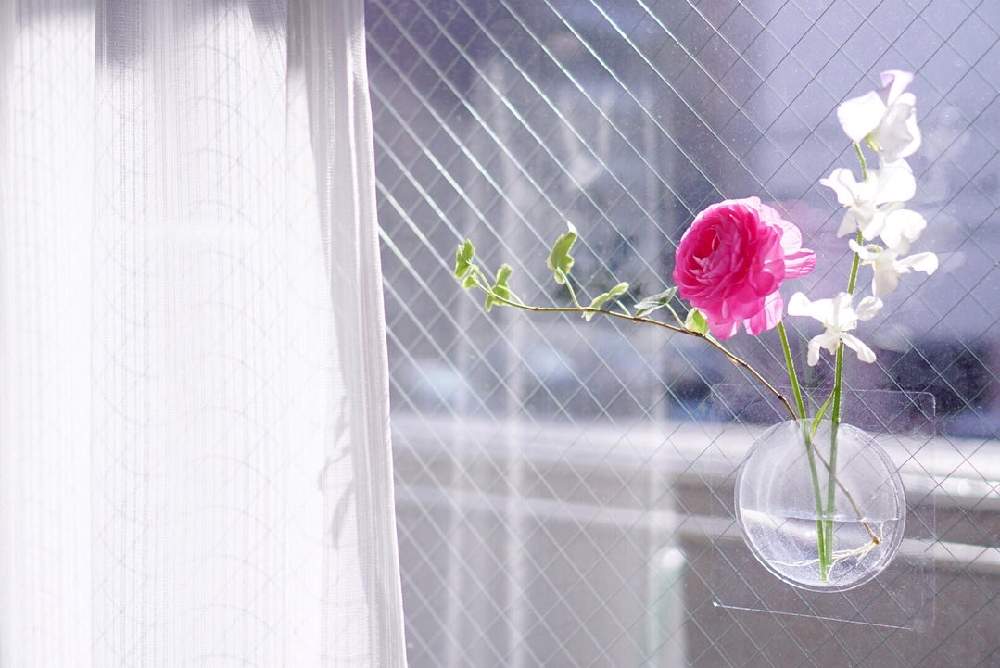 インテリアの画像 by shionさん | インテリアと花のある暮らしとGreensnapとお花のある生活とweekendflower