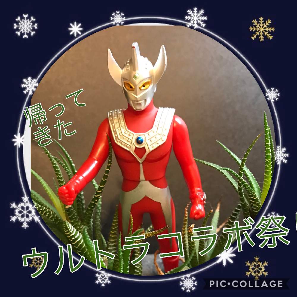 部屋の画像 by さっちさん | 部屋と花のある暮らしと帰って来たウルトラコラボ祭り