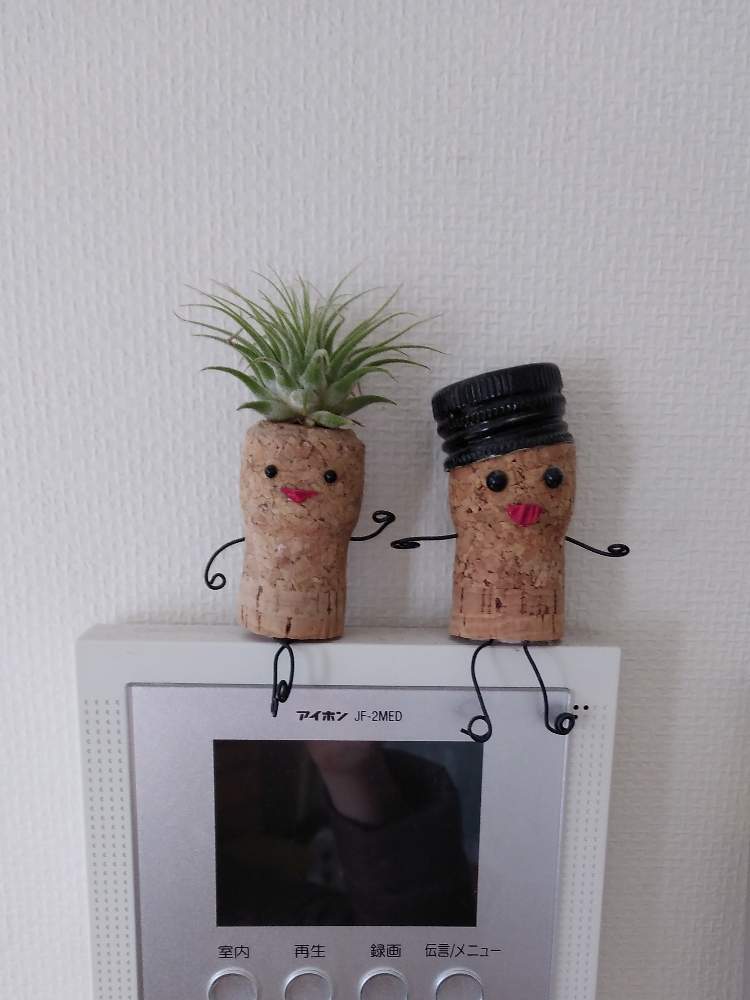 部屋の画像 by green ballさん | 部屋とチランジアと遊び心と観葉植物とコルク人形と子供と一緒にとかわいいな♡とインテリアグリーンとエアープランツ/チランジア