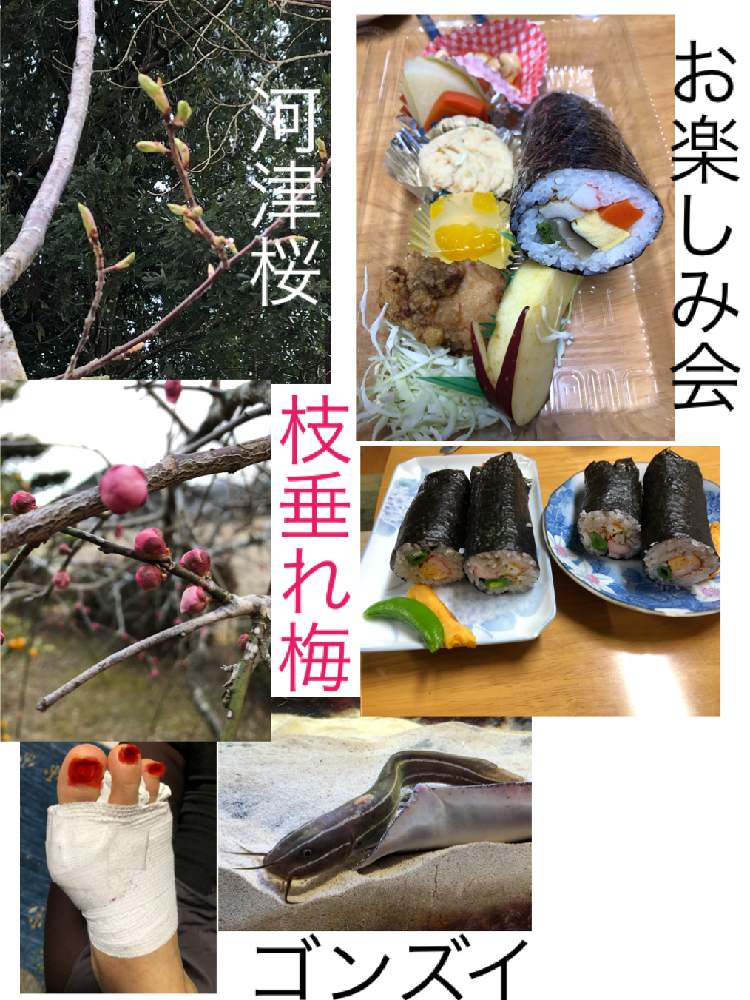 お出かけ先の画像 by ピンクの山茶花さん | お出かけ先と花のある暮らしといただきものとおでかけ先とGSアダルトチーム