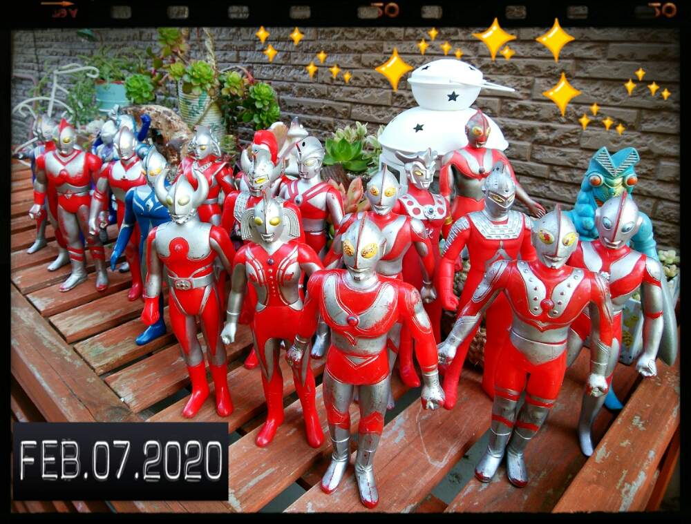 小さな庭の画像 by ☆みなみ☆さん | 小さな庭と帰って来たウルトラコラボ祭りと感動!と繋がりに感謝と日々の暮らしの中の幸せと今日も多肉三昧!とたにおたくらぶ152と癒しをありがとうと発見と私の癒し系達♡と今日の見~つけた!とたにおたくらぶ