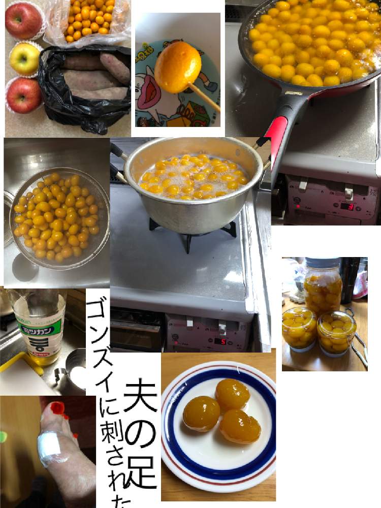 キッチンの画像 by ピンクの山茶花さん | キッチンといただきものと 金柑と サツマイモとGSアダルトチーム