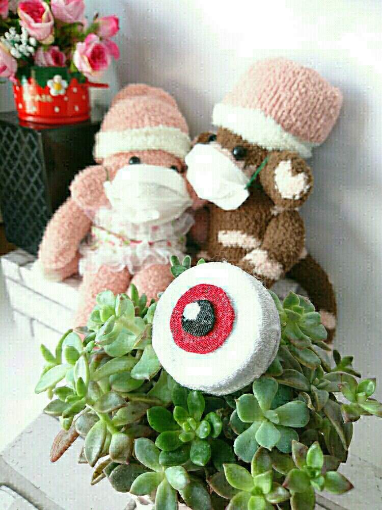 部屋の画像 by いちごちゃんさん | 部屋と多肉植物とHTCとキュンキュン乙女倶楽部と手洗いうがいオヤジといいね