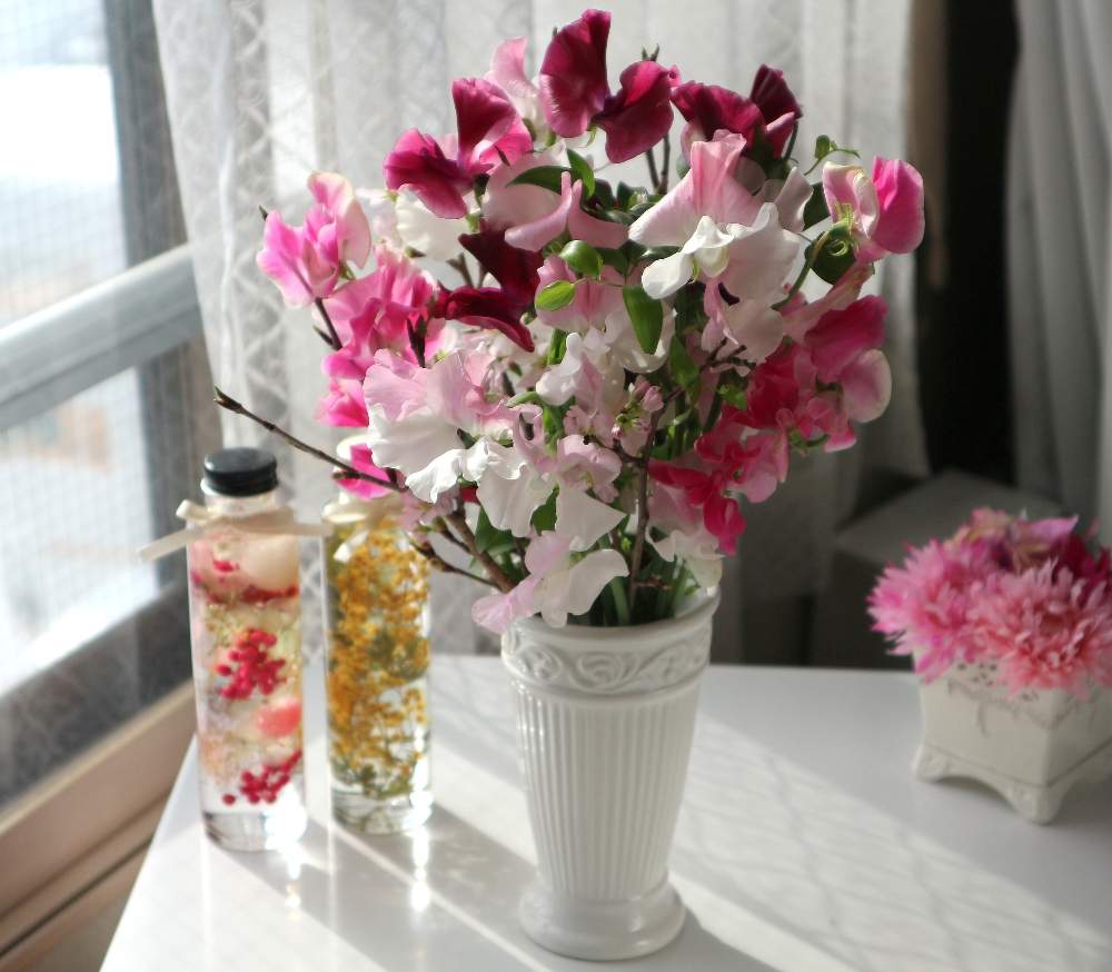部屋の画像 by すえちゃんさん | 部屋とサクラとスイートピーとWEEKEND FLOWERとお気に入りと花を飾ると春色と花のある暮らしと切り花と『お部屋を彩る、春の花』フォトコン