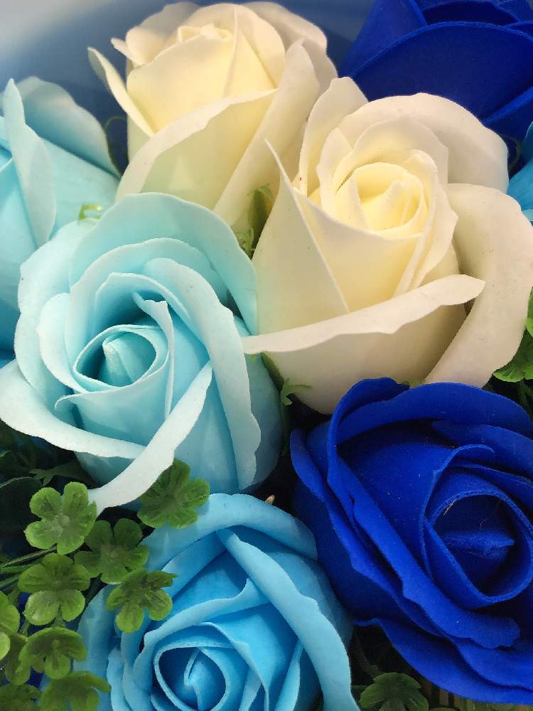 お出かけ先の画像 by ga-さん | お出かけ先と薔薇とGreenが好きと店頭販売とフェイク・造花と青系!my boom‼︎