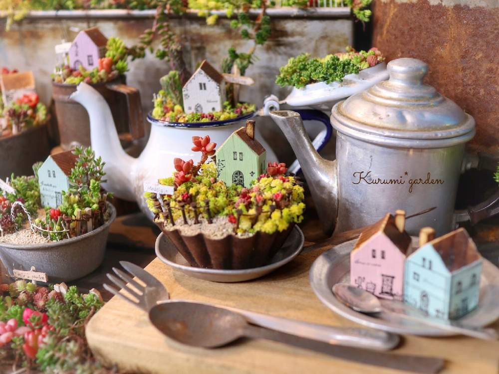 お出かけ先の画像 by くるみ*さん | お出かけ先とセダム寄せと多肉植物 寄せ植えと箱庭と箱庭 多肉植物と世界らん展2020と展示品と多肉箱庭と手のひらガーデンとkurumi gardenとイベントとkurumi*townとアンティークと古道具アレンジとくるみタウンとお誘いとイベント出店とGSのみなさんに感謝♡とくるみガーデンと小さな世界とKurumi*gardenと世界らん展とイベント告知と東京ドームとミニミニハウスとkg kitchen