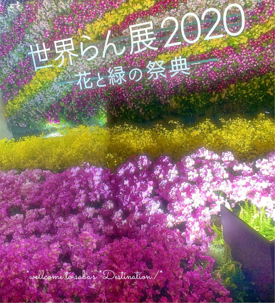 お出かけ先の画像 by さば*さん | お出かけ先と世界らん展2020とありがとう❤️とno green no lifeとGSに感謝。と花のある暮らしと素敵