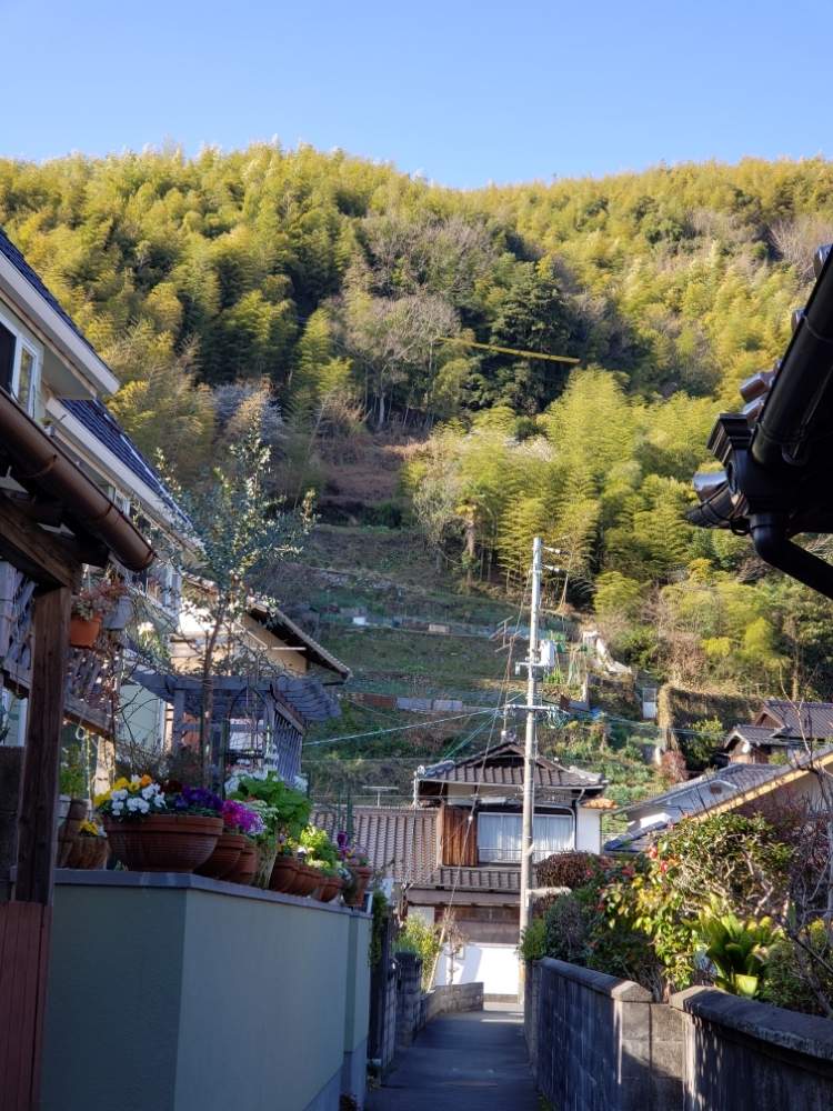 畑の画像 by 天空のバラの五線譜さん | 畑と花のある暮らしと里山のある暮らし