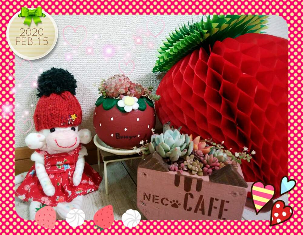 部屋の画像 by ☆みなみ☆さん | 部屋と☆みなみ☆ソクモンと繋がりに感謝と杢さんの猫カフェカップと日々の暮らしの中の幸せと今日も多肉三昧!とたにおたくらぶ152と癒しをありがとうと発見とソクモンとベリーさんのイチゴ鉢と私の癒し系達♡と今日の見~つけた!とたにおたくらぶとチーム愛知と毎月15日はいちごの日