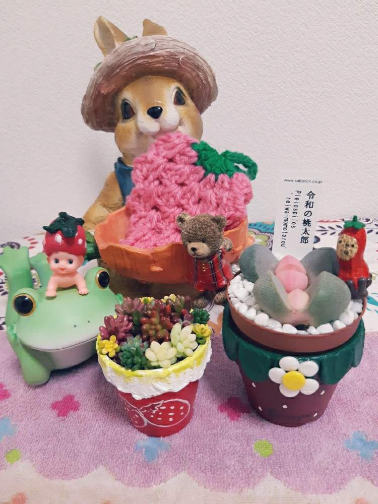 部屋の画像 by haru.kさん | 部屋とバラと夢CLUBと多肉女子とつながりに感謝と毎月15日はいちごの日と花のある暮らしといやし♪と広島県