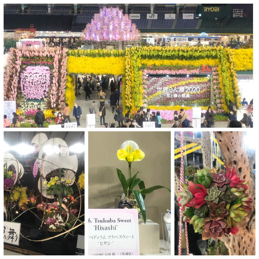 お出かけ先の画像 by けろやさん | お出かけ先と世界らん展2020とヒヤミカチ首里城!とひやみかち首里城!とGSミニモニ。と花のある暮らしと頑張れ♡えっことお出かけ先にてと東京ドームと東京ドーム蘭展
