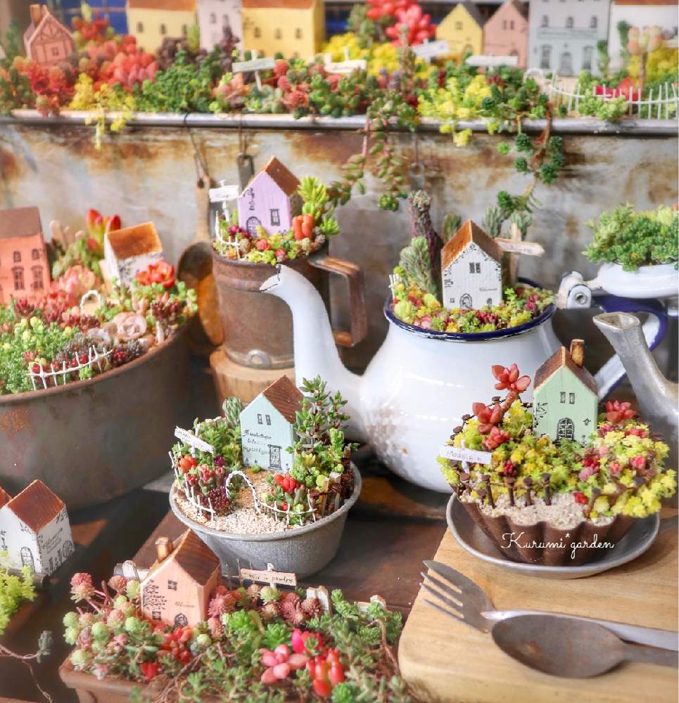 お出かけ先の画像 by くるみ*さん | お出かけ先と多肉植物 寄せ植えと箱庭 多肉植物と多肉植物と世界らん展2020と展示品と手のひらガーデンとkg kitchenとkurumi gardenとkurumi*townとアンティークと古道具アレンジとくるみタウンとお誘いと多肉植物寄せ植えとイベント出店とGSのみなさんに感謝♡とくるみガーデンと小さな世界とKurumi*gardenと世界らん展とイベント告知と東京ドームとミニミニハウス
