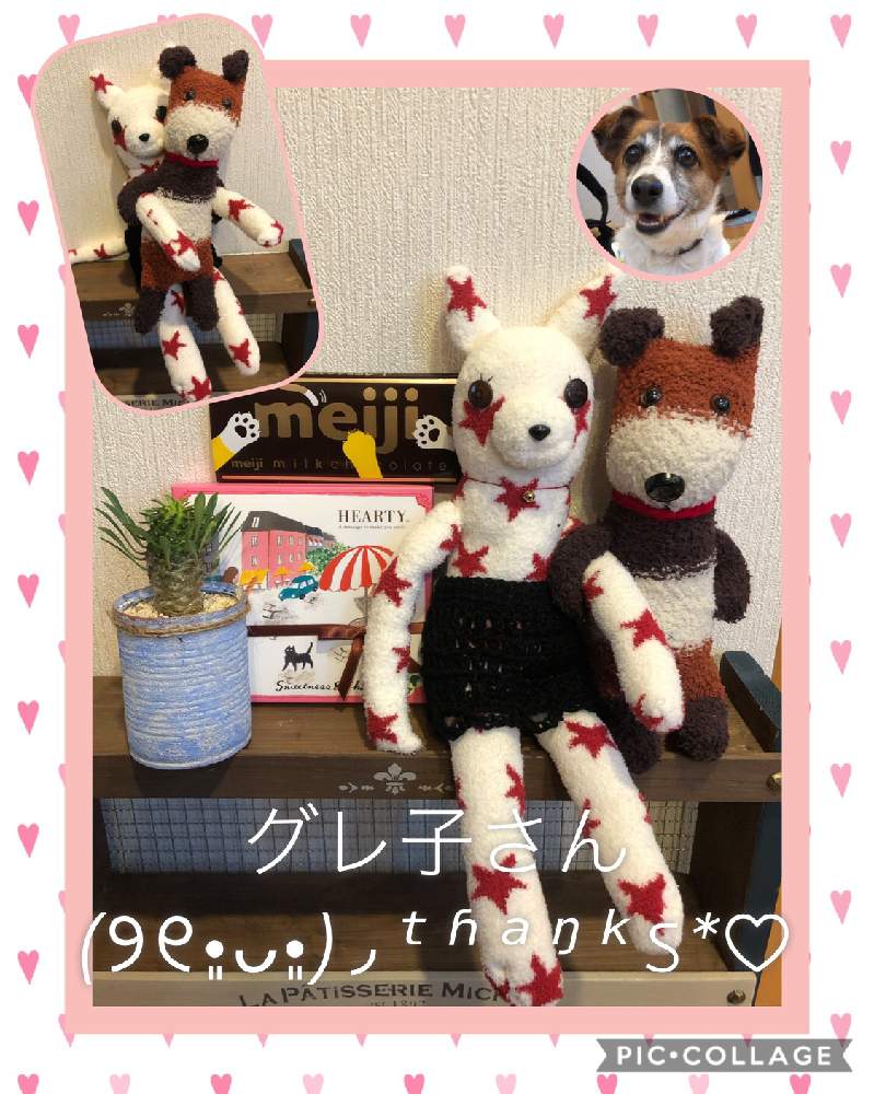 の画像 by のんのんさん | 蘇鉄キリンとキュンキュン乙女倶楽部と素敵便とヒヤミカチ首里城!と多肉大好きと今日も笑顔でと多肉のある暮らしとひやみかち首里城!とGSミニモニ。と全国オヤジ連合会とサボテンのある暮らしと多肉女子と今日も元気でと花のある暮らしとたにおたくらぶ