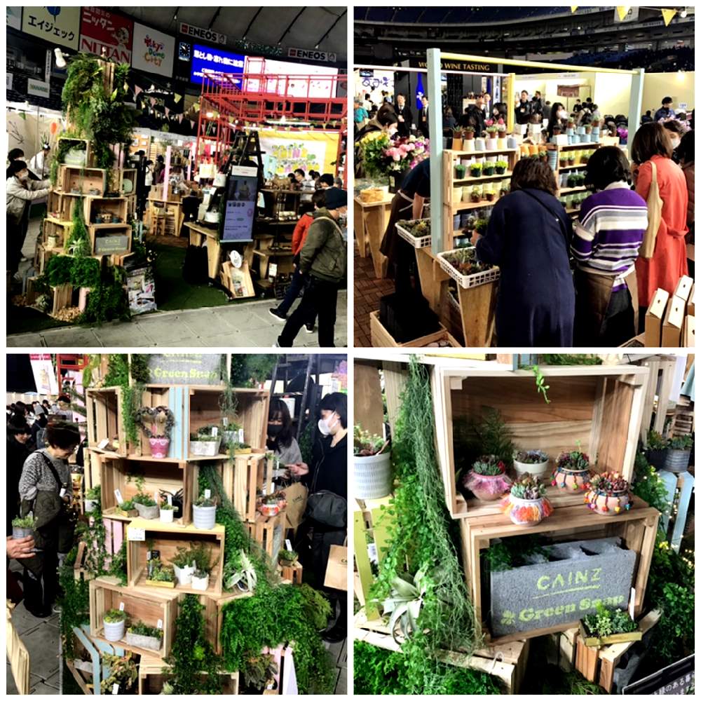 お出かけ先の画像 by カインズさん | お出かけ先と世界らん展2020とカインズと多肉女子とホームセンターと花のある暮らしと令和の桃太郎♡♡とメキシカン多肉とカインズ浦和美園店とCAINZとGreen snap✖️cainzとカインズホーム