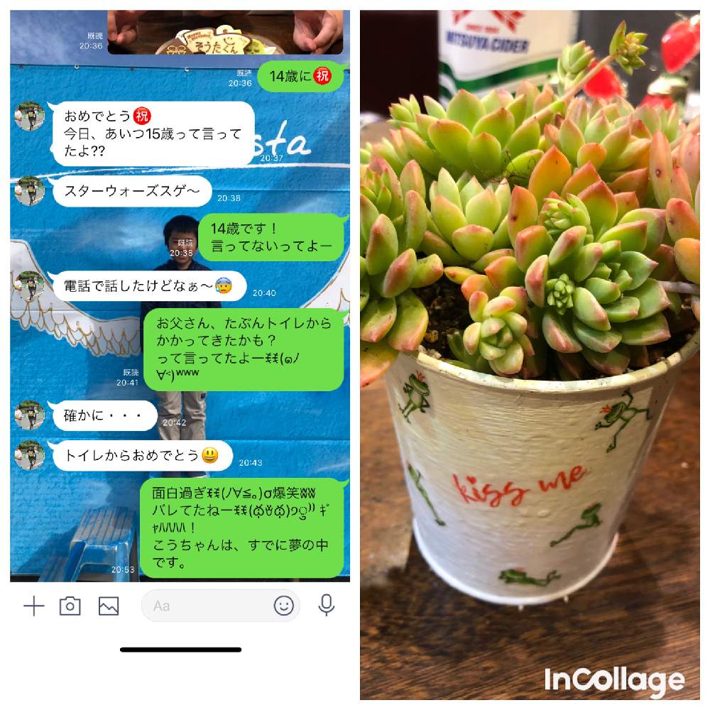 部屋の画像 by コニー✨さん | 部屋と植中毒とHTC No.278とバラと夢CLUBと多肉女子と可愛い〜♡とタニラーと毎日お疲れとたにおたくらぶとリメイク鉢と週刊文春とカエル缶