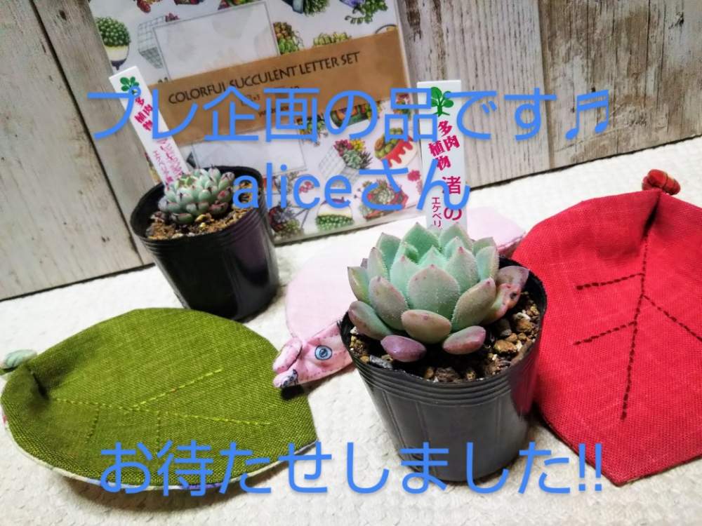 部屋の画像 by しのんさん | 部屋とミニマと渚の夢と広島出張所とHTCとお待たせしました!!と休日とHTC No.16と富山支部とおめでとう♡とプレ企画当選品と発送しますね