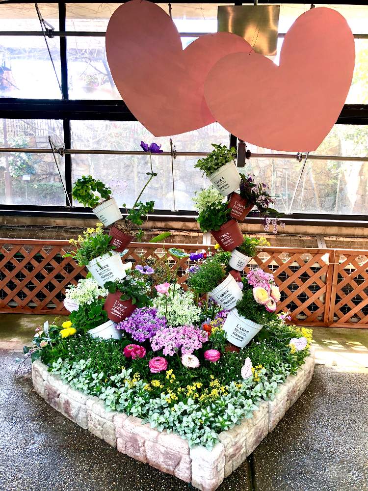 お出かけ先の画像 by スワンさん | お出かけ先と須磨離宮公園とみどりのまとめとハートの植物