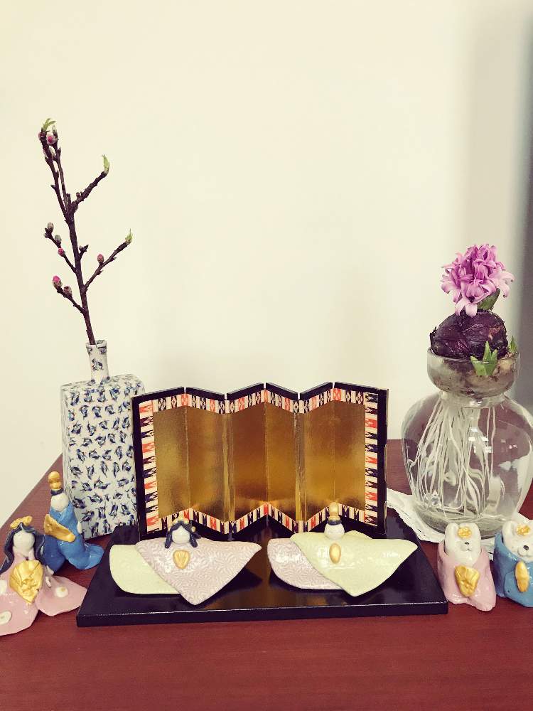 部屋の画像 by やあさん | 部屋と花のある暮らしと切り花を楽しむとヒヤシンス水栽培