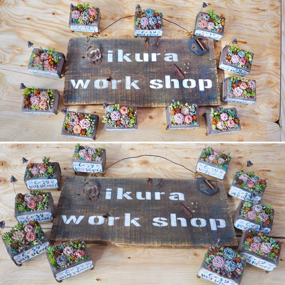 お出かけ先の画像 by ikuraさん | お出かけ先と多肉植物と世界らん展2020とコラボ鉢とお気に入りと寄せ植えともりもり多肉とお箸で多肉とGS映えとリメ缶・リメ鉢とikuraのお箸で多肉植えちゃうよ教室と韓国苗とmai×ikuraコラボとbizarre苗
