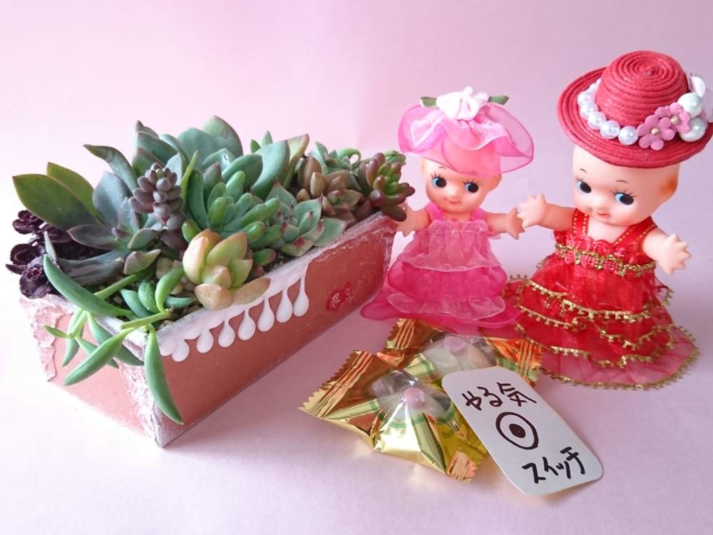 部屋の画像 by いちごちゃんさん | 部屋と多肉植物の寄植えとありがとう♡とキュンキュン乙女倶楽部とHTCとやったぁ〜