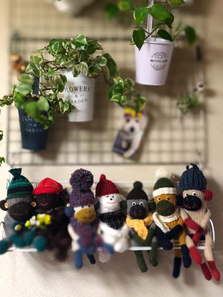 部屋の画像 by andysakuraさん | 部屋とHandmadeと素敵な1日をとソックスモンキー❤︎