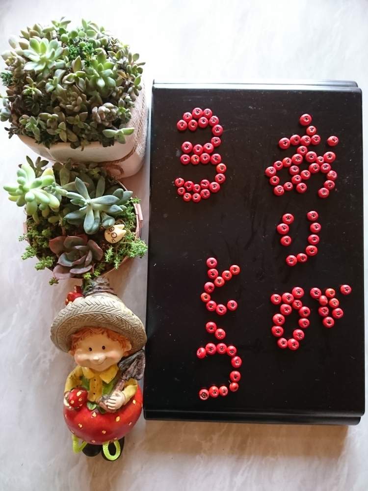 部屋の画像 by いちごちゃんさん | 部屋と多肉植物の寄植えとありがとう♡とGSに感謝。とキュンキュン乙女倶楽部とHTC