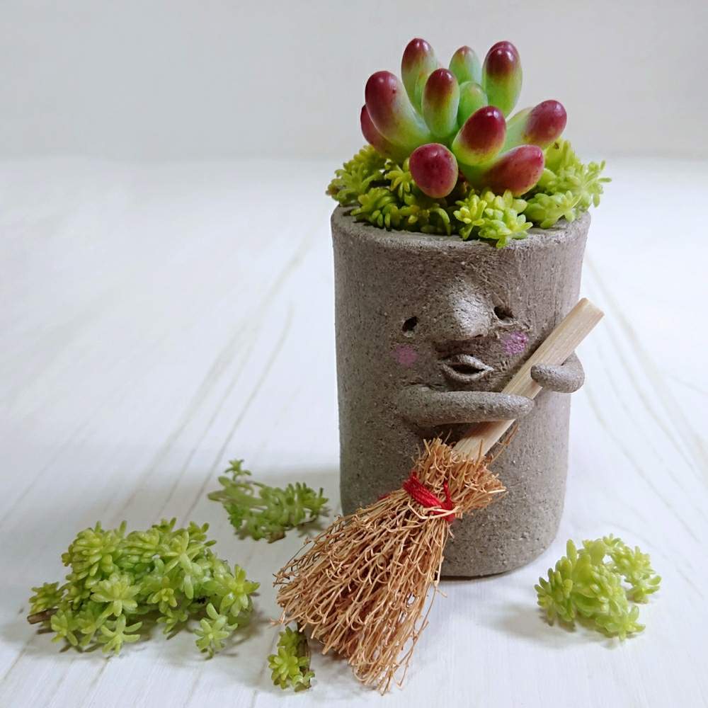 の画像 by みんとぐりーんさん | 多肉植物とコビト鉢とHTCとキュンキュン乙女倶楽部とありがとう♡とお気に入りとセダム大好きとB型とコビトシリーズとセダム寄せ植えと多肉植物のある暮らしとしのんちゃんありがとうと多肉2016同期とアーティスティックフォトコンとたにおたくらぶ