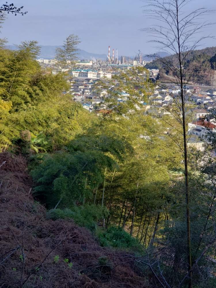 畑の画像 by 天空のバラの五線譜さん | 畑と里山のある暮らし