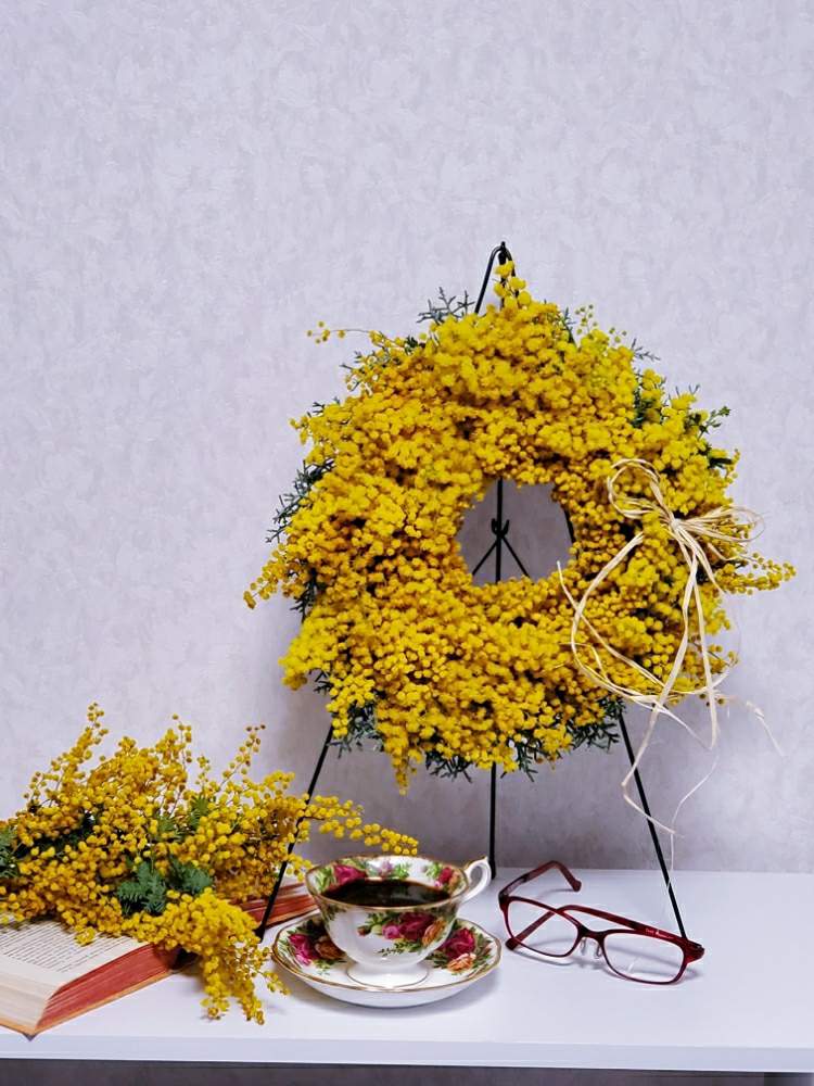 インテリアの画像 by aki~nakさん | インテリアとHTCとWEEKEND FLOWERといやされる♡とGS映えとしぞーか勢とGS日和とアカシアミモザと今日の一枚とクリスマスローズ・シングルと有難う♥と花のある暮らしと花の16年組♡と『お部屋を彩る、春の花』フォトコンと花と生きるサントリーとGREEN UP!と切り花とミモザリースと自己満足´ω`*となみちゃんミモザと ミモザ