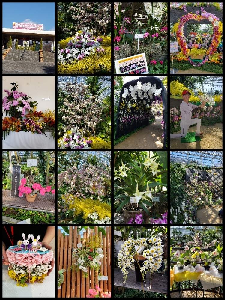 お出かけ先の画像 by 天空のバラの五線譜さん | お出かけ先と広島市植物公園