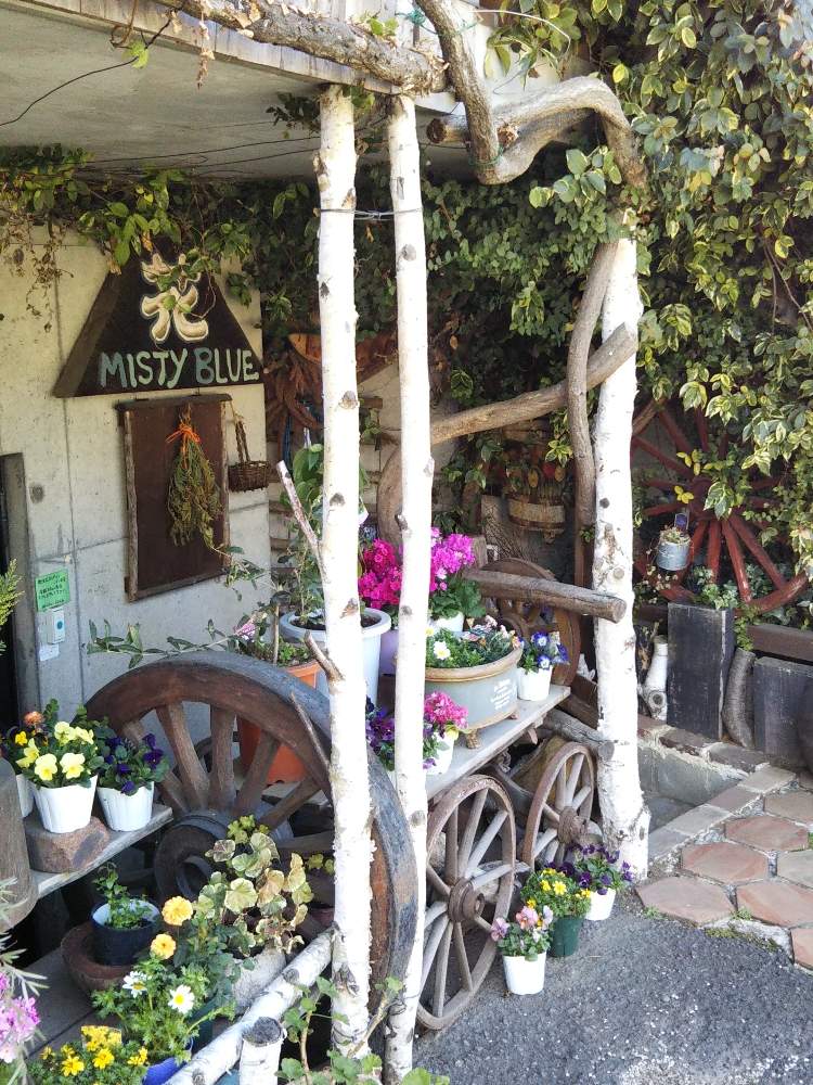 の画像 by うさぎYYさん | お花屋さんとお気に入りの お花屋さん