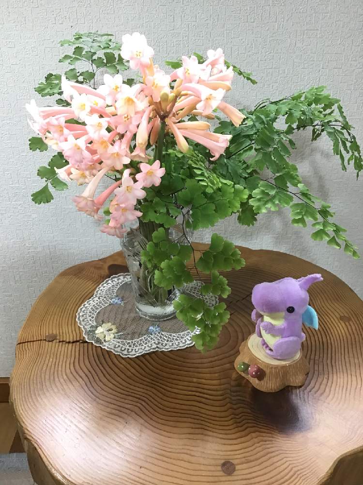 部屋の画像 by うたちゃんさん | 部屋と小さな アレンジとGS映えとGS日和とマスコット達とキルタンサスの切り花とアジアンタム♡