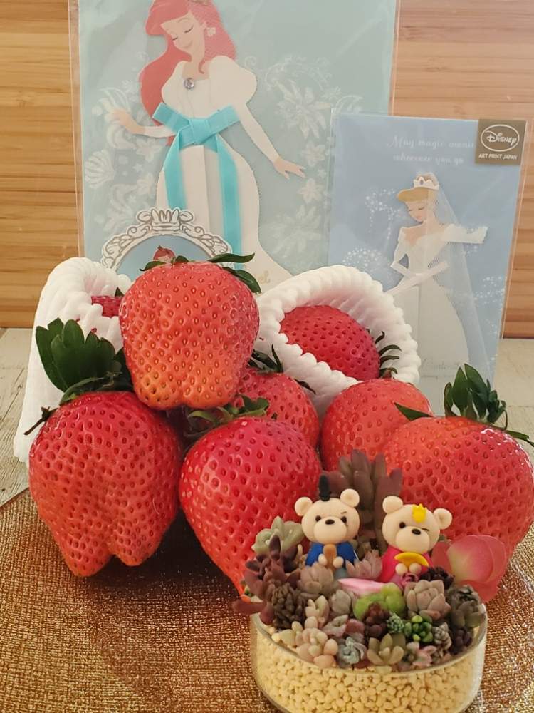 キッチンの画像 by otanico.さん | キッチンと多肉植物寄せ植えと花のある暮らしと雛祭りと多肉寄せ植えとチマってこ~ぜとお雛様とちまちま寄せ