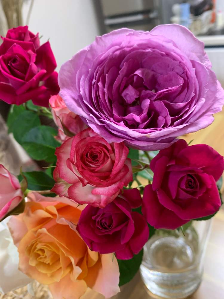 部屋の画像 by エムさん | 部屋と花のある暮らしとお部屋に花をと#薔薇と#イベント中止になってしまった涙涙とおうちフラワーフォトコンテスト