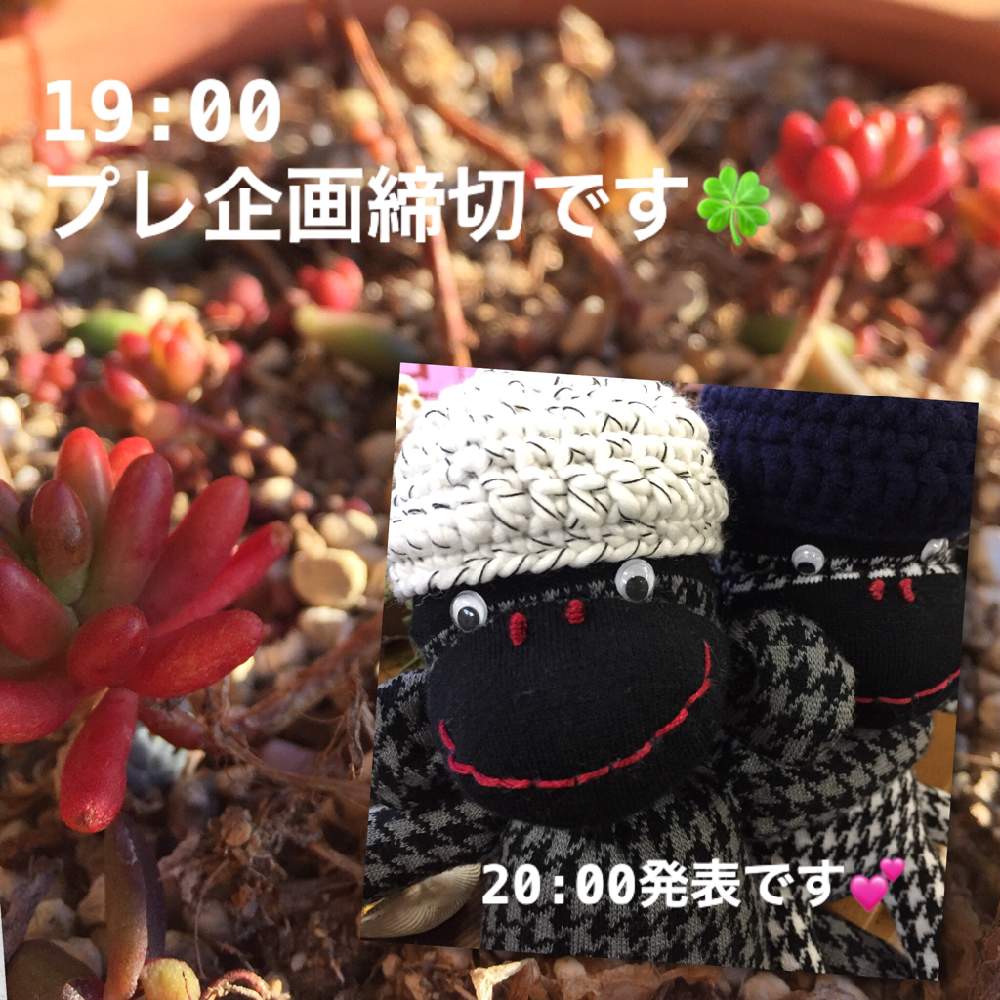 部屋の画像 by *nori*さん | 部屋と虹の玉とセダム属と多肉植物とHTCとHTC.101と@naturalと植中毒と多肉女子とタニラーとソクモンとナチュラルスタイルとベランダー