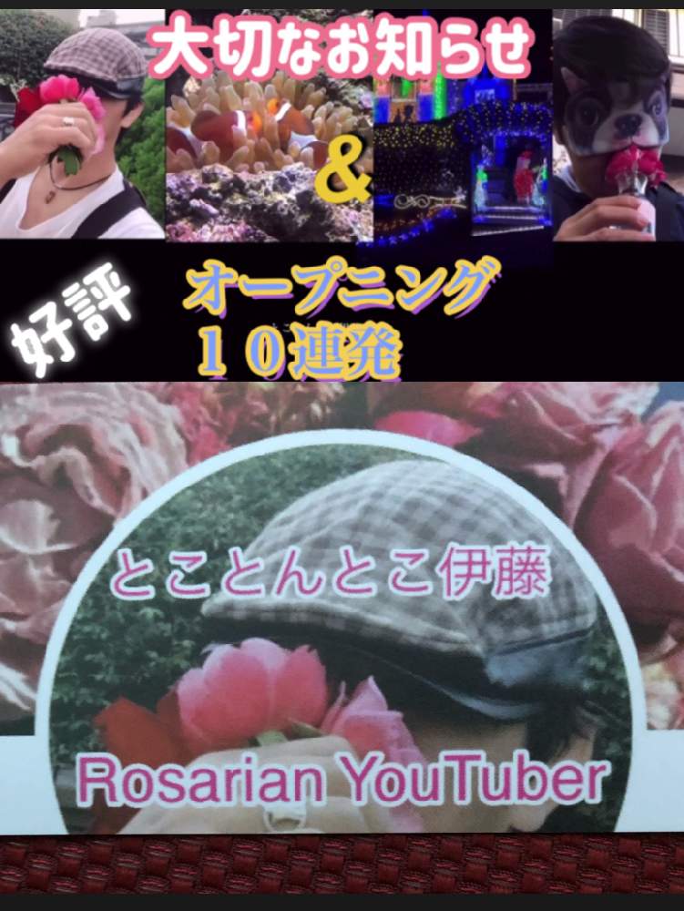小さな庭の画像 by とことんとこ伊藤さん | 小さな庭とWABARAとYouTubeと薔薇のドライフラワーとばら バラ 薔薇と薔薇愛同盟と薔薇男子と薔薇好きと薔薇に魅せられてと薔薇のある暮らし♡と新米ロザリアンとガーデニングと花のある暮らしと薔薇♪とロザリアンとばらの香りと花が好きと薔薇大好きと薔薇好きさんと繋がりたいと薔薇の花