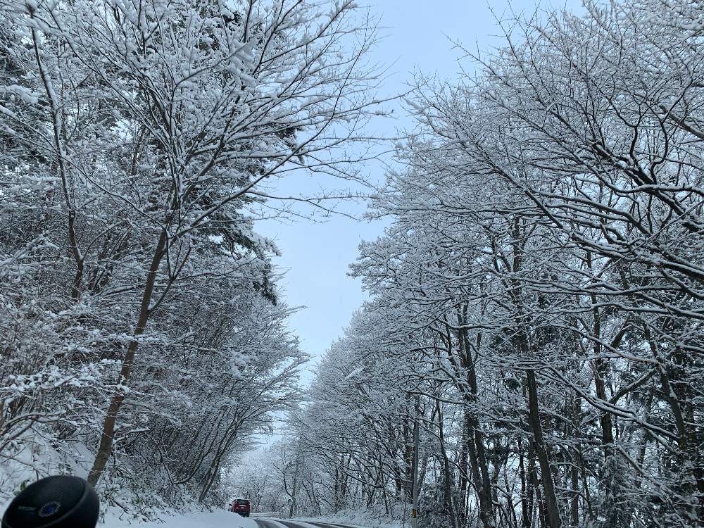 お出かけ先の画像 by yoshimiさん | お出かけ先と雪景色