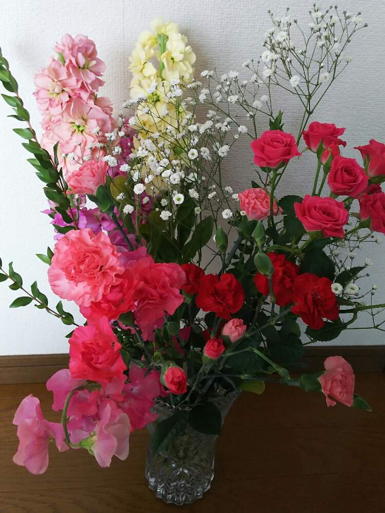 部屋の画像 by SAKURAさん | 部屋と花のある暮らしと植物のある暮らし