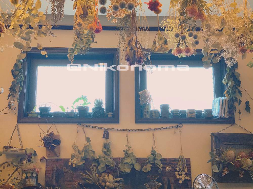 壁/天井の画像 by Nomachanさん | 壁/天井とW投稿と繋がりに感謝と大好きな場所とJUNK Gardenとドライのある暮らしと少しでも笑顔になってもらえますようにと宝物と笑顔の源と癒し空間とみんな同じ空の下と錆錆とSabijyoとご縁に感謝とDIYと大切な宝物と植物が映えるものを作り隊とサビじょとインダストリアルとあの娘にも届け